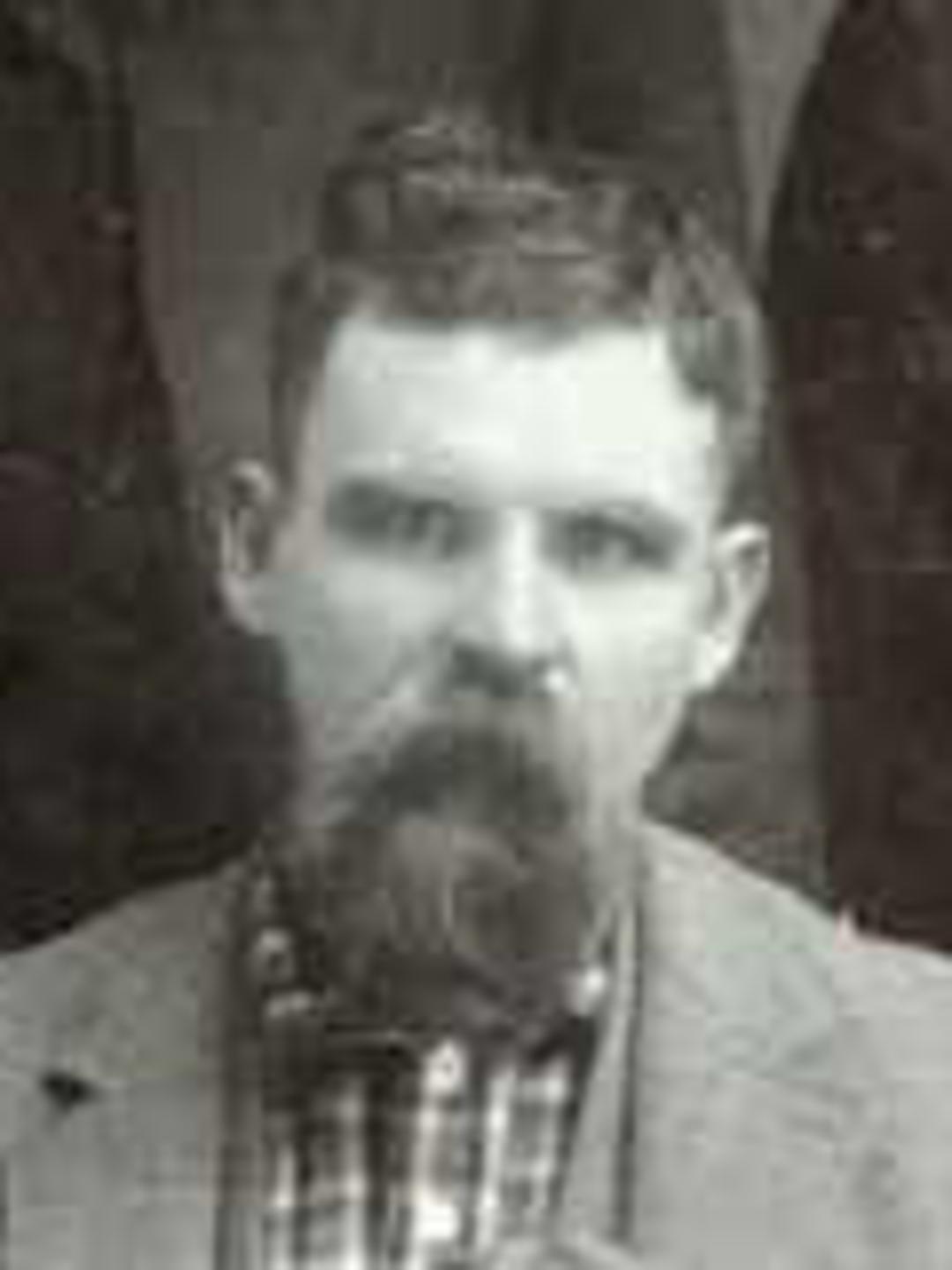 Daniel Brown Woodland (1847 - 1907) Profile